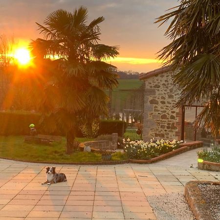 Bed and Breakfast La Basse Monniere Sevremont Exteriér fotografie