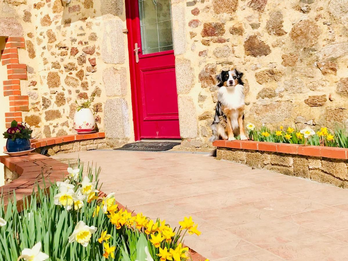 Bed and Breakfast La Basse Monniere Sevremont Exteriér fotografie